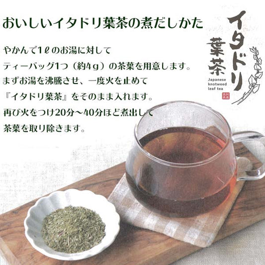 イタドリ葉茶　48ｇ（4ｇ×12包）／ティーバッグ／お茶／いたどり